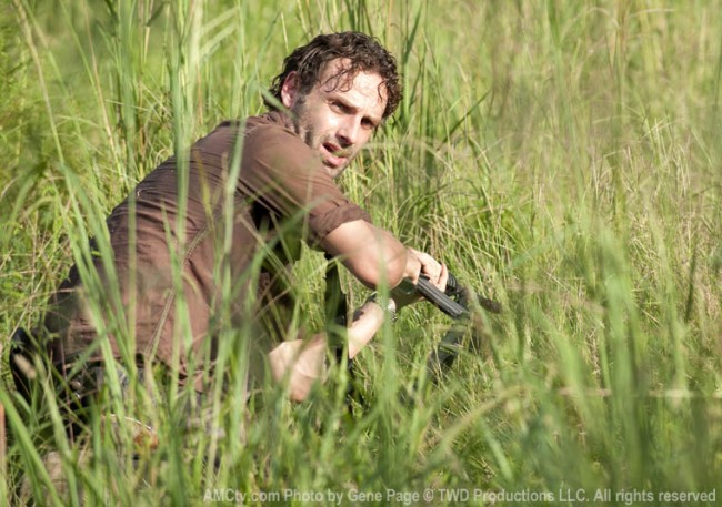 TWD_GP_310_0831_0481