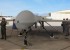 Drones: Mankind’s Always Had Them Drones: Mankind’s Always Had Them