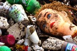 So Wasted!  Great Pacific Garbage Patch Poisons Marine Life – Environmental Activists Wage War