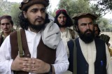 Pakistan Taliban Peace Talks Just Contract Negotiations Pakistan Taliban Peace Talks Just Contract Negotiations