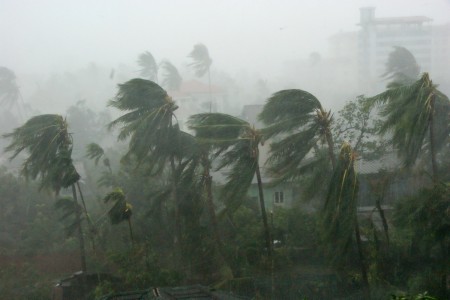 Cyclone hits east India