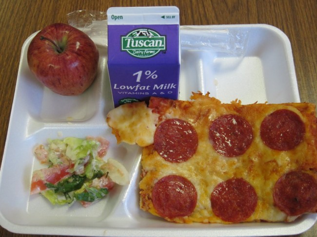 Persuasive essays on school lunches