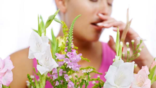best seasonal allergy medicine