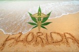 Medical Cannabis Gaining Support in Florida Medical Cannabis Gaining Support in Florida