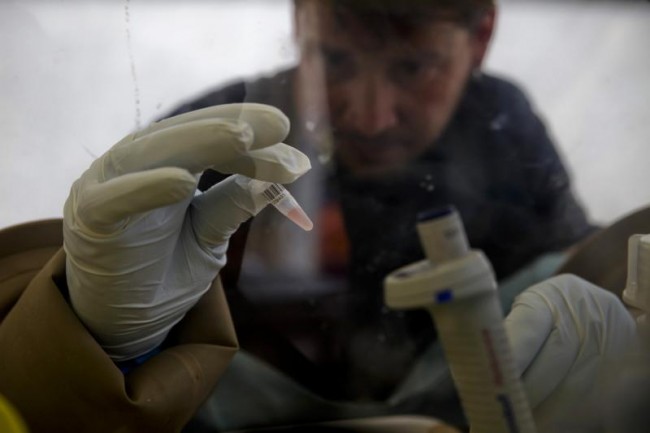 Ebola Cures on Hold, Too Few Have Been Infected by the Deadly Virus Ebola