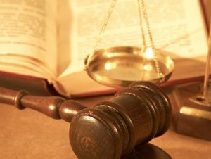 Same sex immigration case Guardian