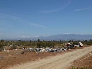 Stop trashing the desert