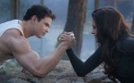 breaking dawn part 2 guardian express