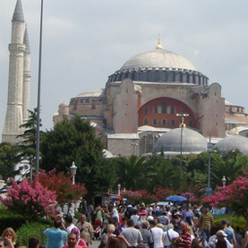 disease maps pinpoint origin of indo european languages 1