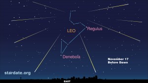 Leonid Meteor Shower 2