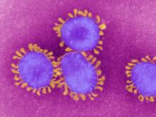 novel coronavirus 3