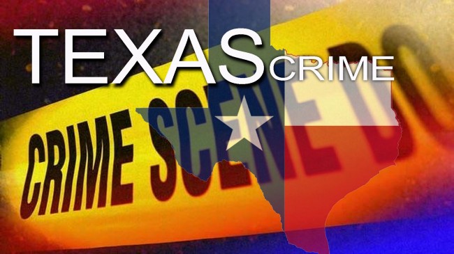 Dallas: Public Assistance needed in Business Burglary