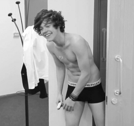 Harry Styles 10 Reason Why Taylor Swift  Knew He Was Trouble