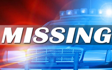 Los Angeles: Missing Person Alert Larry David Klein 