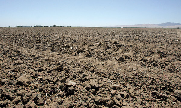 IIHS_valley_fever1__06_15_12