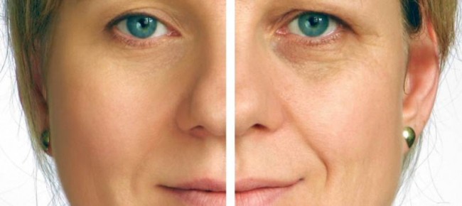  Slows down the aging process