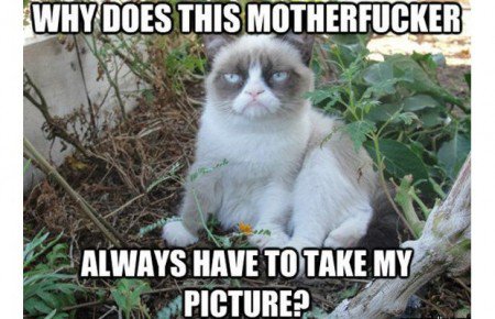 amanda bynes no pictures