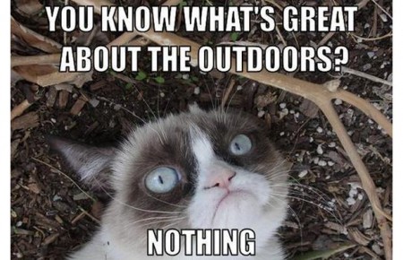 amanda bynes apartment