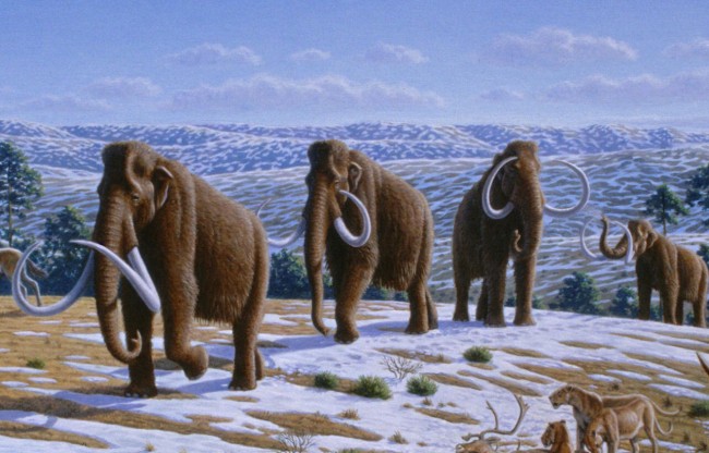 mammoth1.jpg