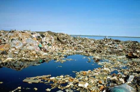So Wasted!  Great Pacific Garbage Patch Poisons Marine Life - Environmental Activists Wage War