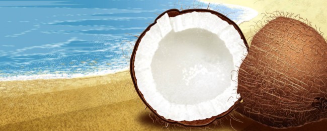 Coconut1-2