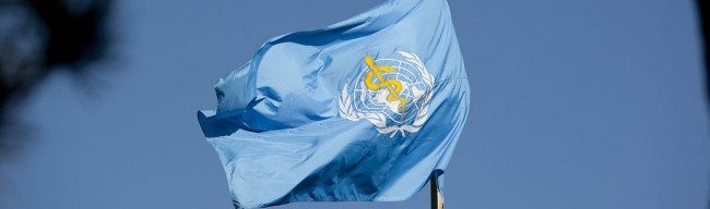 World Health Organization Concerned About Air Pollution 1 WHO flag