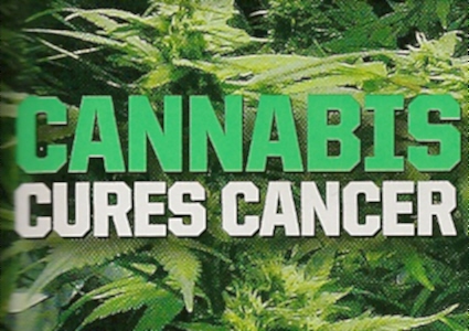 cannabis_cures_cancer