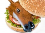 Horse Meat On The Menu But Can We Stomach It? {Non-graphic Video} 3 horse meat satire, funny