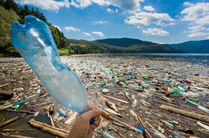 So Wasted!  Great Pacific Garbage Patch Poisons Marine Life - Environmental Activists Wage War