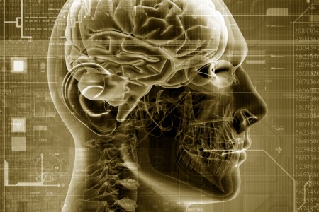 Omega 3 Fatty Acids Support a Healthy Brain 1 Omega 3 and healthy brains