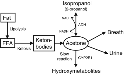 Acetone Production, made from Ketones