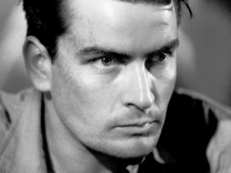 Charlie Sheen Whore Accusation Against Capri Anderson