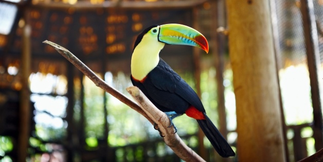 F77C7D4569DC9C78F3DE120AA322_h316_w628_m5_cOCfxvFww