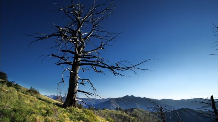 Idaho Searches for Lost Teen