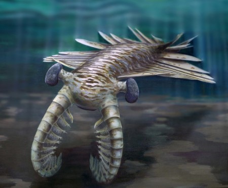 Anomalocaris reconstruction showing Cambrian organism