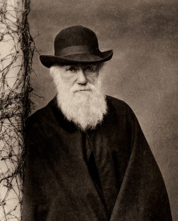 Charles Darwin was unsure of the Cambrian Explosion