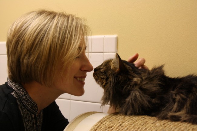 Cats May Prove Deadly to Organ Transplant Recipients