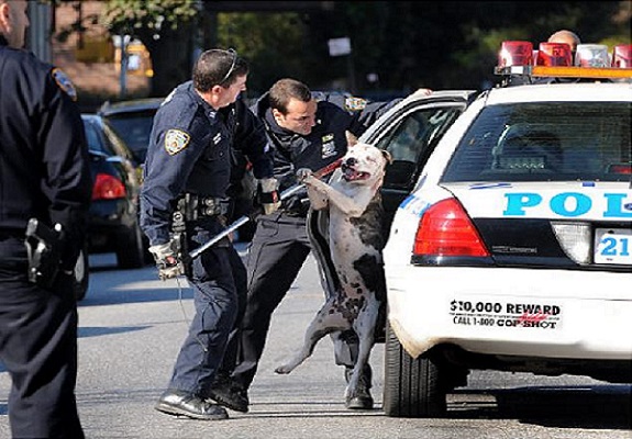 In Arizona and California