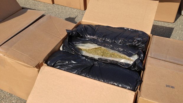 9 ton of marijuana was seized at a border patrol checkpoint in San Clemente