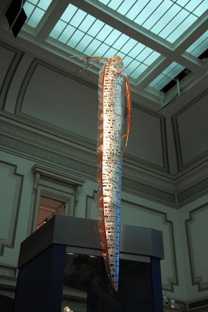 Giant oarfish model