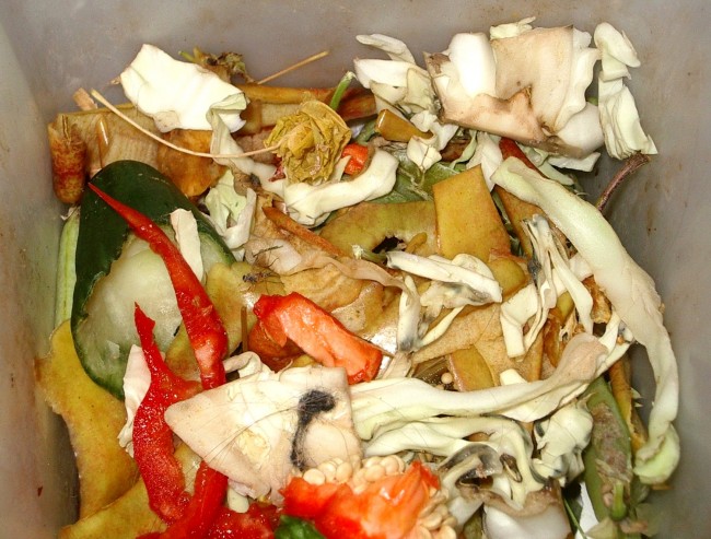 Food Waste is New Mining Source for World Demand for Glass 1 Biodegradable_waste