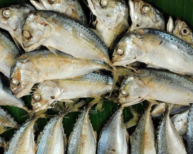 China: Top Five Most Dangerous Imported Foods