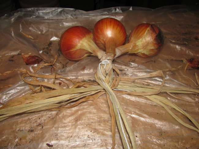 The Onion is Stopping Print Editions