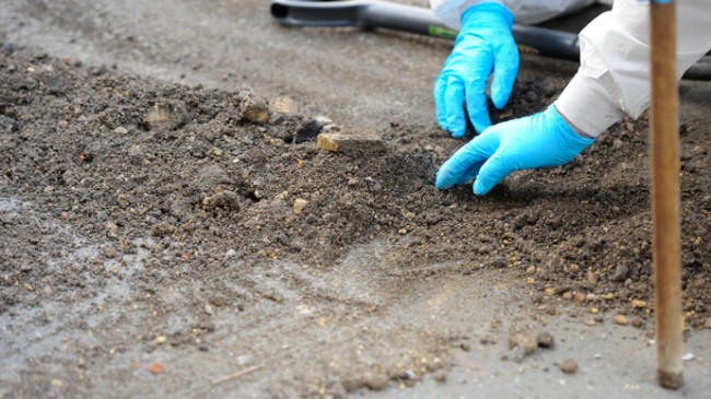 Police Officer in Germany Kills for Canibalism 1 german, police officer, cannibal, killing