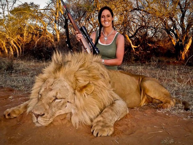 Melissa Bachman hunts a lion and takes a photo smiling that outrages the world