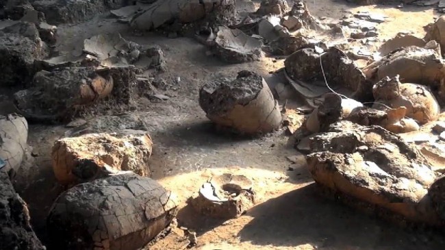 Wine Aged to Perfection or Just Plain Old at 3,700 Years