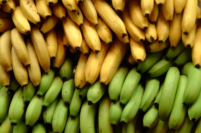 Bananas live from human not natural growth.