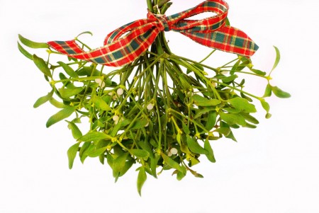 Christmas mistletoe hanging