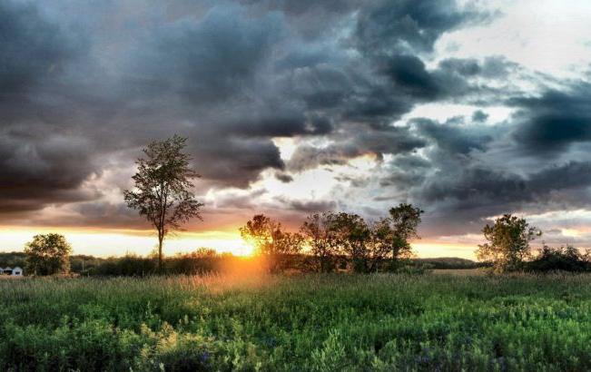 Global Warming is Good