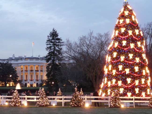 National Christmas Tree